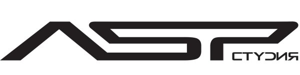 Студия Автозвука медведь Рамазан