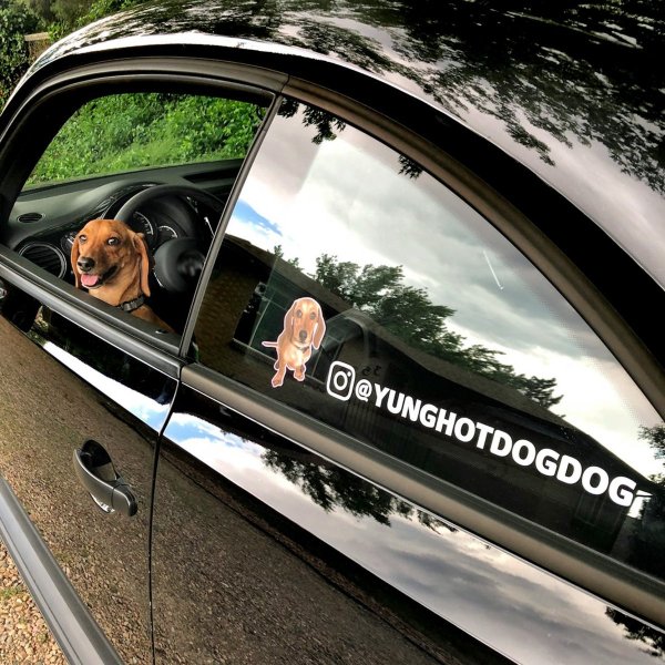 Наклейки на авто с инстаграмом