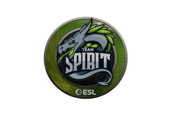 Наклейка тим спирит