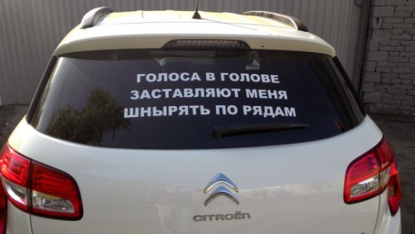 Голоса в моей голове заставляют меня шнырять по рядам