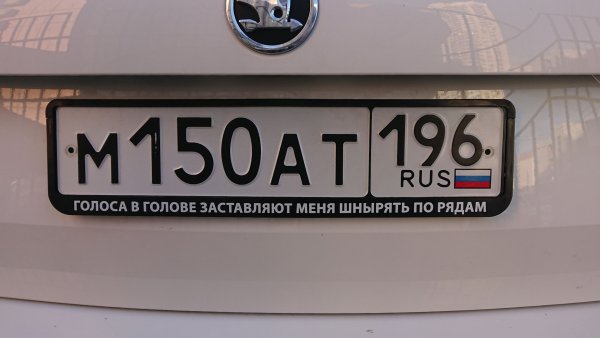 Голоса в моей голове заставляют меня шнырять по рядам