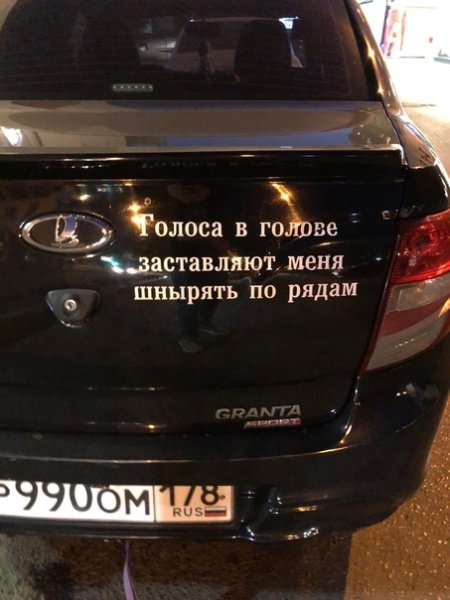 Голоса в моей голове заставляют