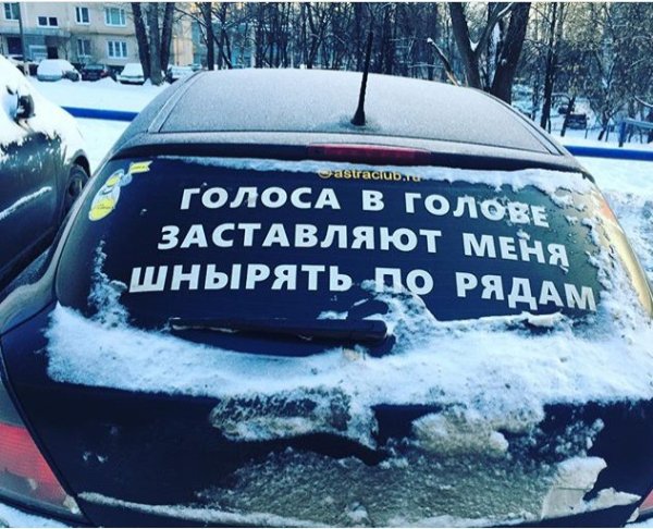 Голоса в моей голове заставляют