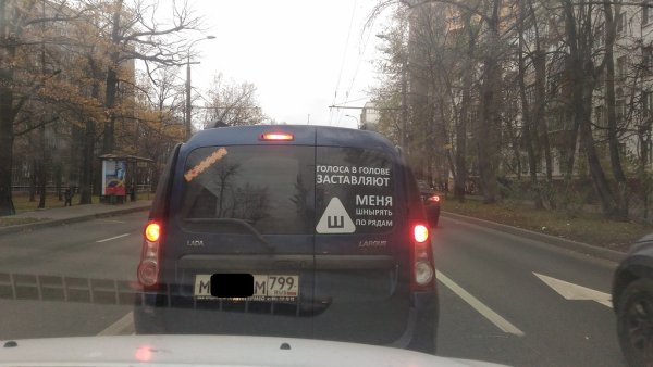 Голоса в голове заставляют меня