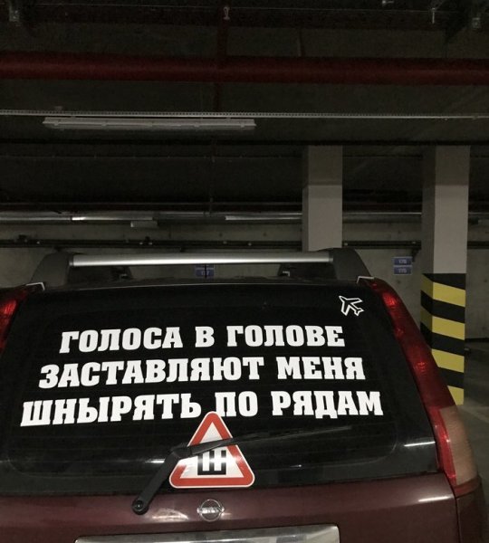 Голоса в голове заставляют меня