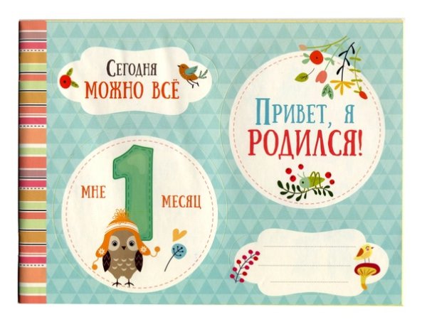 Наша малышка. Альбом от рождения до года