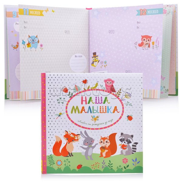 Альбом Росмэн наш малыш альбом от рождения до года