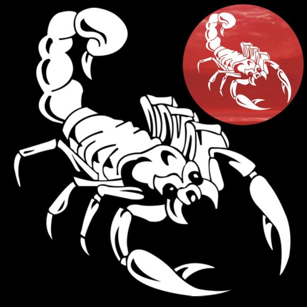 Скорпион черно белый