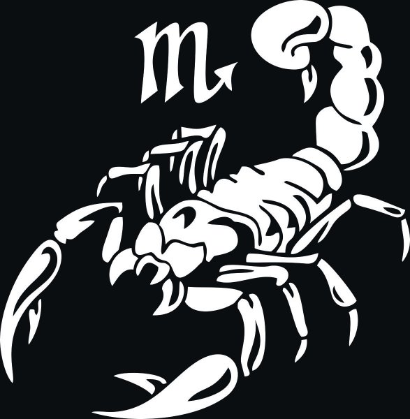 Наклейка скорпиона на куртку