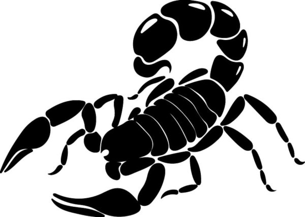 Скорпион наклейка на авто