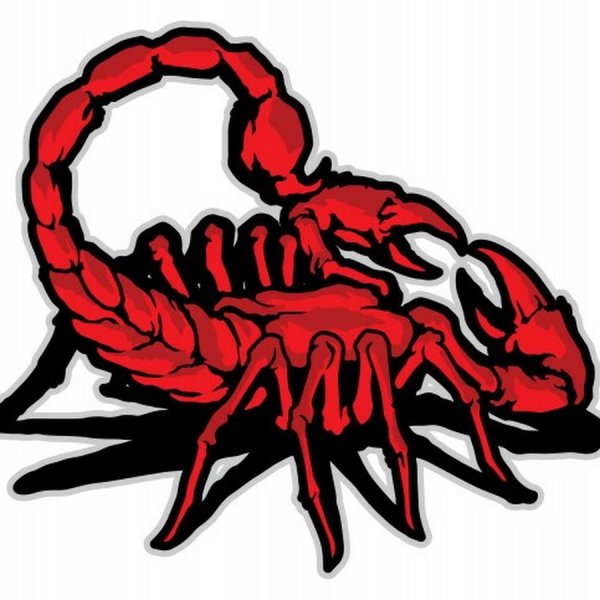 Скорпион наклейка на авто