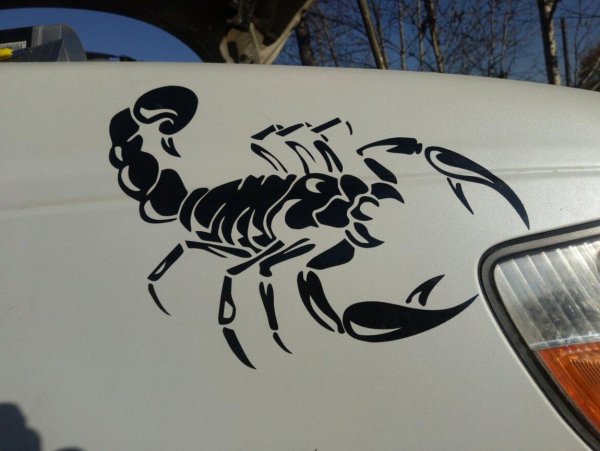 Наклейки знаки зодиака