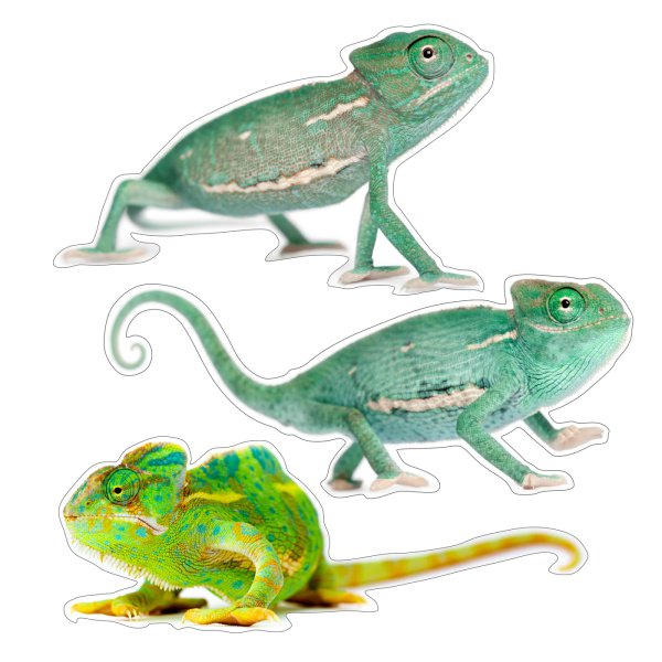 Хамелеон наклейка