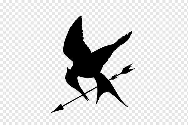 Голодные игры Сойка пересмешница символ