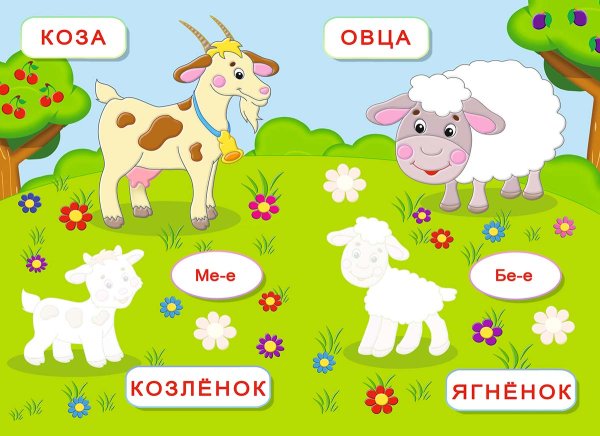 Животные обучающие наклейки