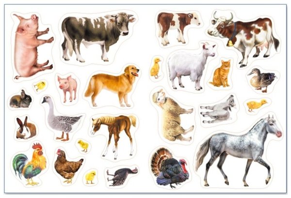 Наклейки с домашними животными
