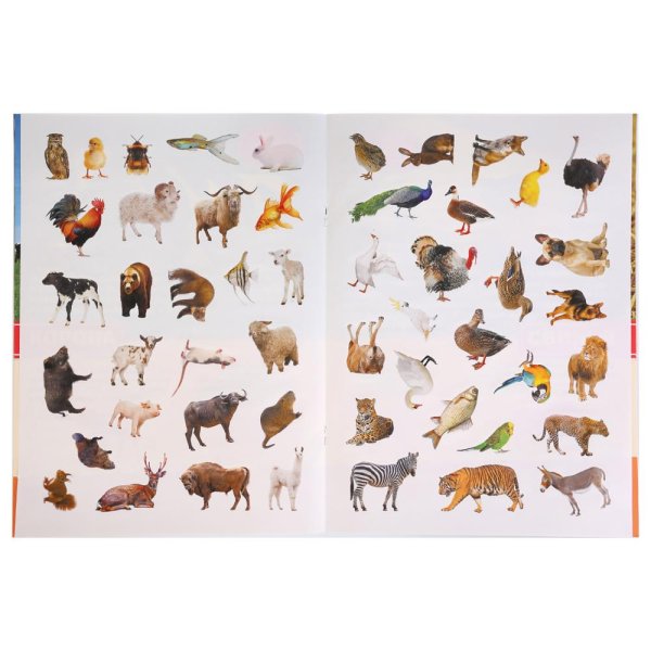 Домашние животные (+ наклейки)