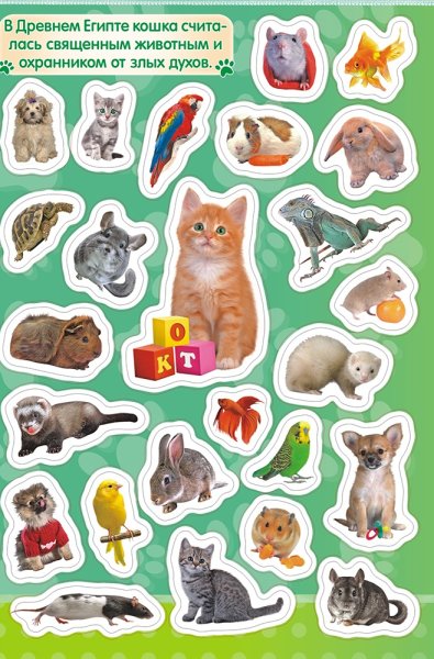 Книжка с наклейками "домашние животные"
