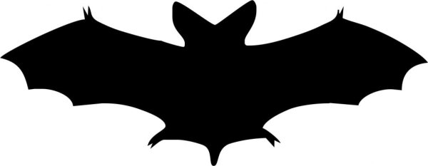 Летучая мышь Военная разведка