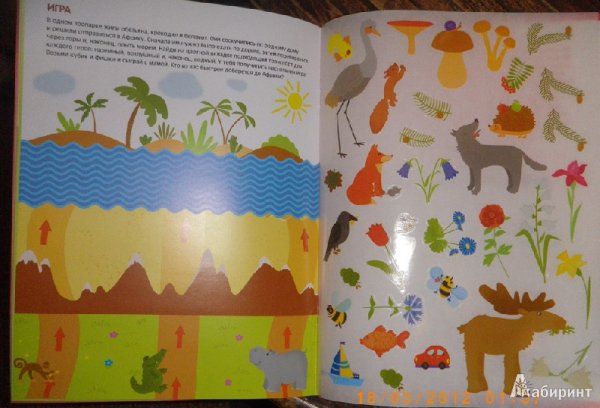 Книжка с наклейками чудесные наклейки. Цветные картинки