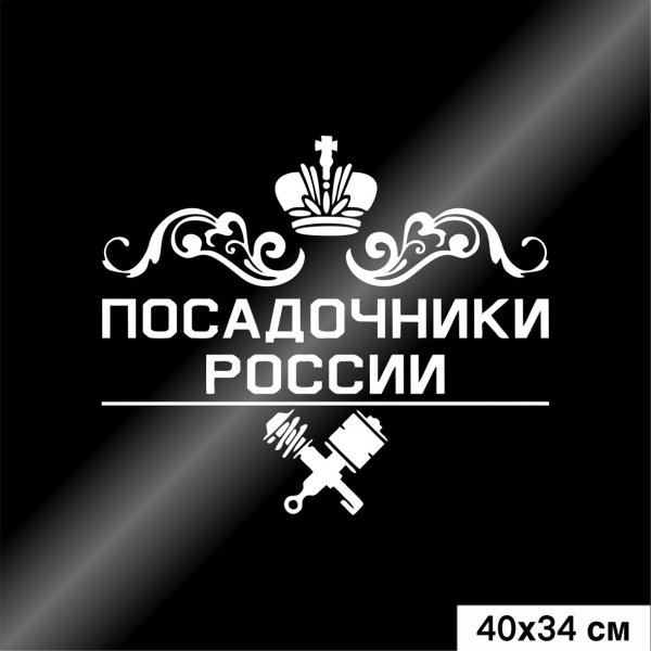 Наклейка посадочнткик России