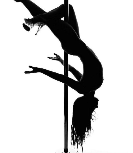 Изящный женский силуэт