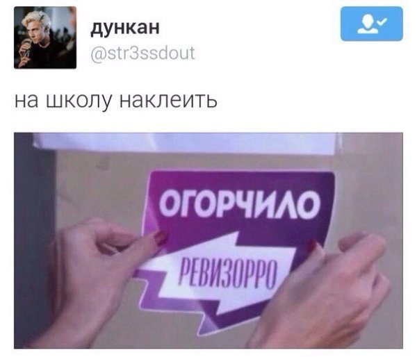 Ревизорро огорчило Мем