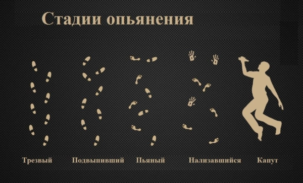 Стадии опьянения юмор