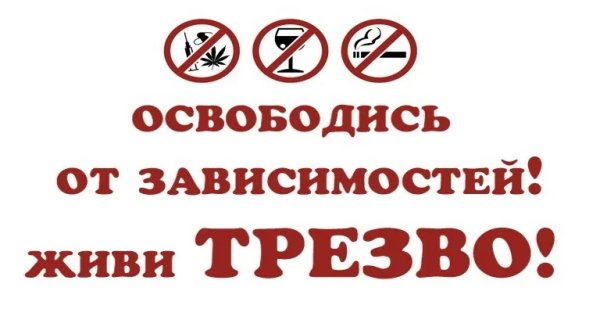 Листовки живи трезво