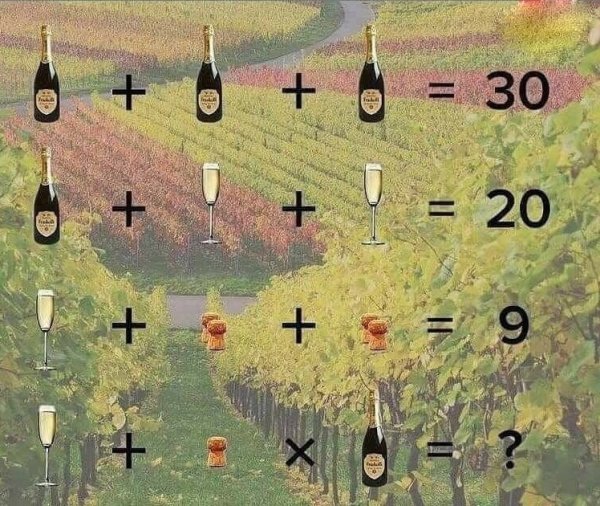 Головоломки на трезвость ума