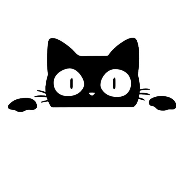 Кот выглядывает на белом фоне