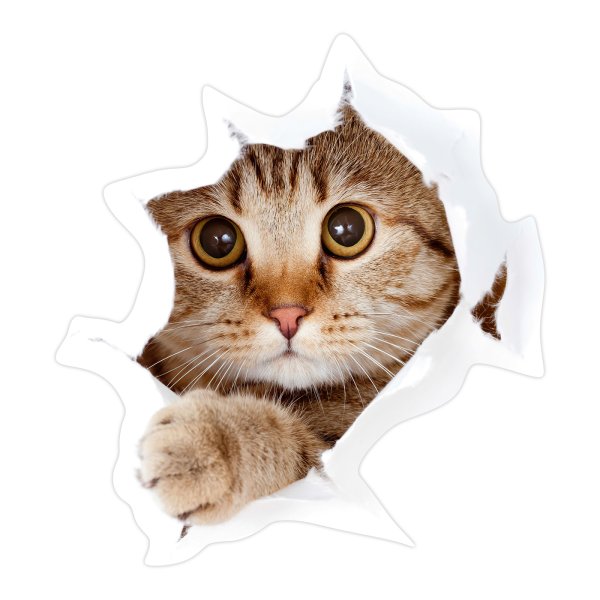 Наклейка на дверь комнаты