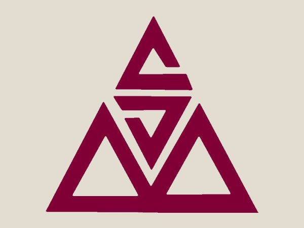 Shashki msk наклейка