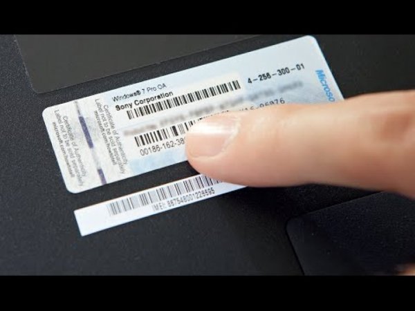 Наклейка виндовс на ноутбуке