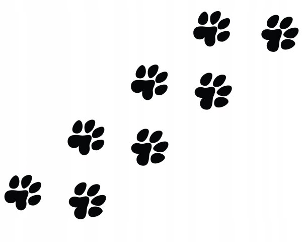 Наклейки кошачьи следы