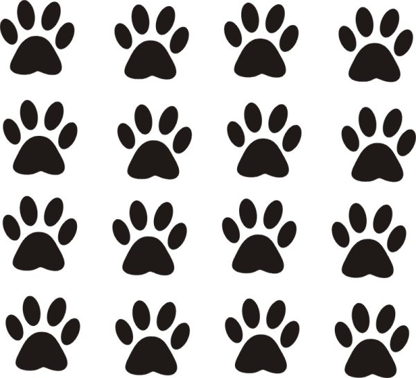 Кошачьи лапки следы