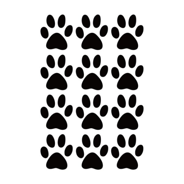 Трафарет лапки