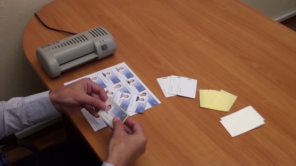 Пауч для пропусков