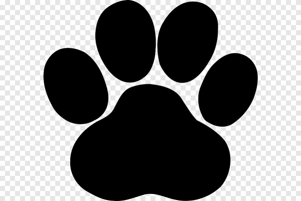 Лапа собаки