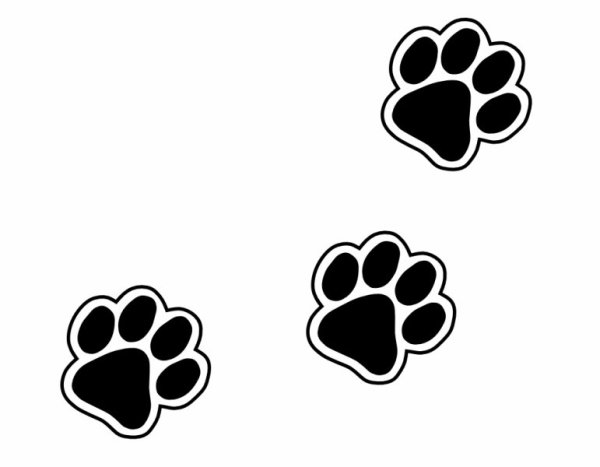 Наклейки лапки