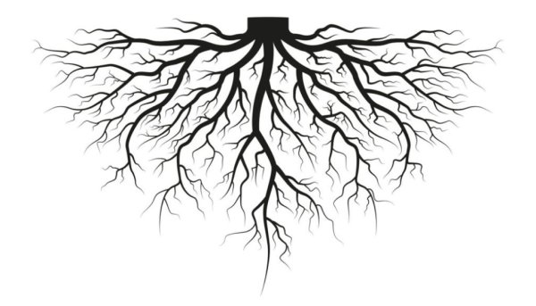 Растение с корнем вектор