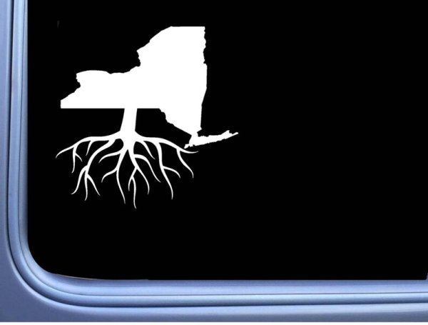 Дерево с корнями и кроной