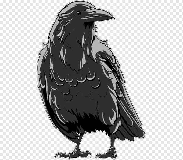 Вороны наклейки на стену