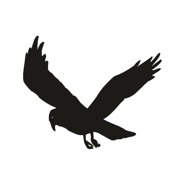 Наклейка ворон