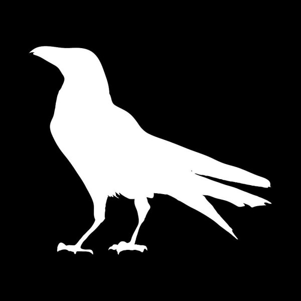 Ворон черно белый