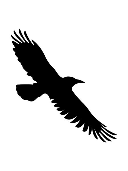 Наклейки "вороны"