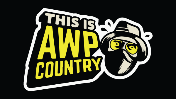 AK 47 фантомный вредитель поношенное