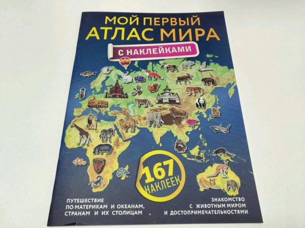 Детская карта мира на стену