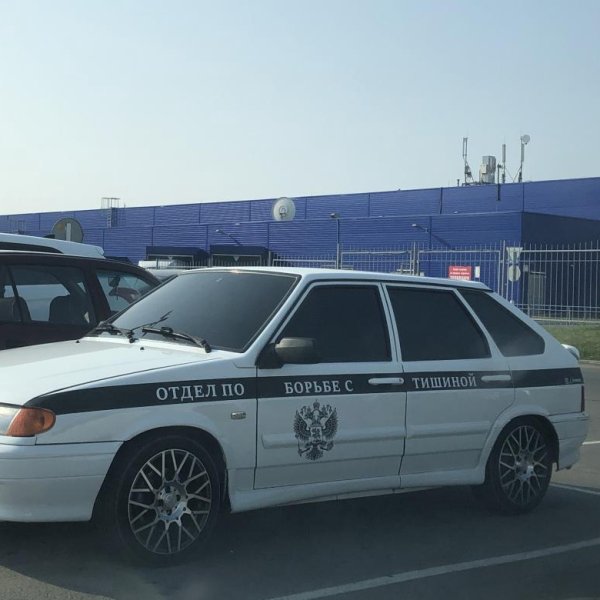 Наклейка на кузов автомобиля отдел по борьбе с