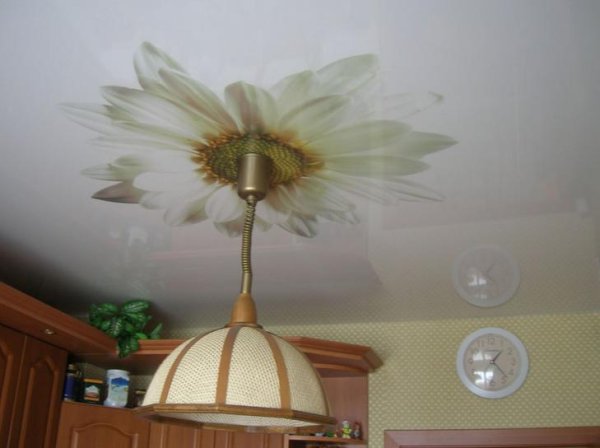 Натяжные потолки с фотопечатью для кухни ромашки